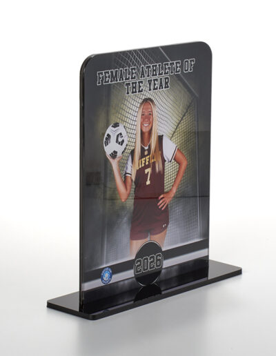 Medium 8x10 Plaque Angle View